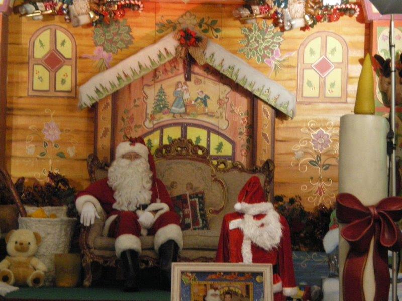 Destimed vous souhaite un Joyeux Noël et des milliers de gestes de tendresse (Photo Patricia Maillé-Caire)