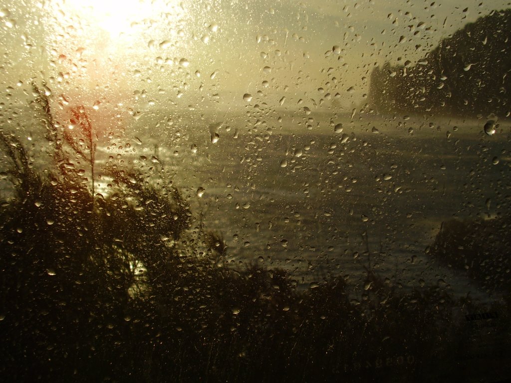 Je pleure sur un air de Bach derrière la fenêtre du destin. L’avenir paraît si radieux de l’autre côté que j’envie les éléments qui ont eu le courage de la traverser. Soleil brûlant, buée, la mer toujours recommencée, la mer, invitation pour l’Homme à dépasser ses peurs, à franchir, ici-bas, l’au-delà dans l’espoir de trouver une herbe plus verte. Méditerranée, pourtour en échanges, de ses fruits, ses cultures, telle une immense nappe reliant les continents, ou champ d’exclusion, de désolation. Alors, pour tous, viendra le temps des larmes, de la buée. Car, bonheur, malheur, nul ne pourra être simple spectateur. Je pleure sur un air de Bach ...(Photo Philippe Maillé)