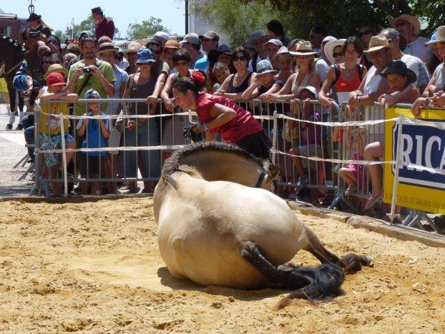 (PHOTO PHILIPPE MAILLÉ)