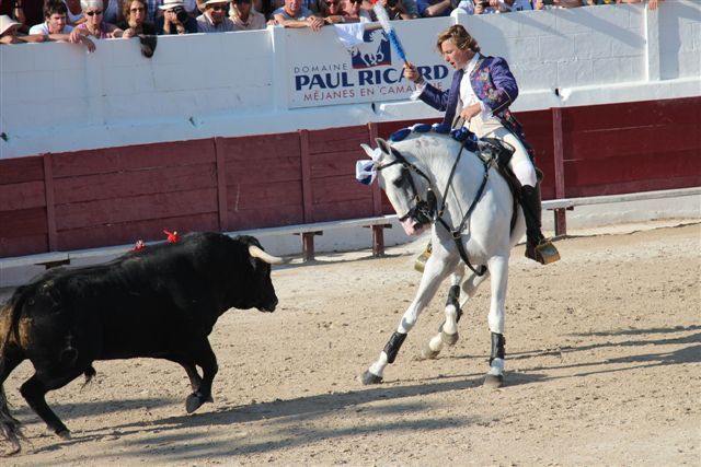 (PHOTO PHILIPPE MAILLÉ )