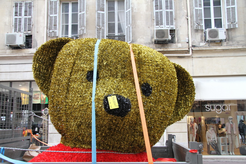 Mais qui a osé phagocyter ce joli nounours? (Photo Robert Poulain)