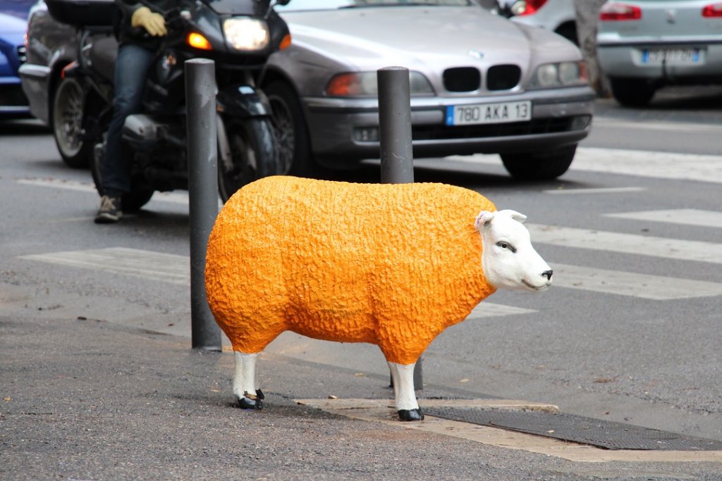 Oups! Après la manif des agriculteurs qui a oublié son mouton à Marseille? (Photo Philippe Maillé)