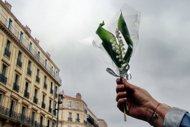 Le 1er mai c'est la fête du travail et... du muguet (Photo Robert Poulain)