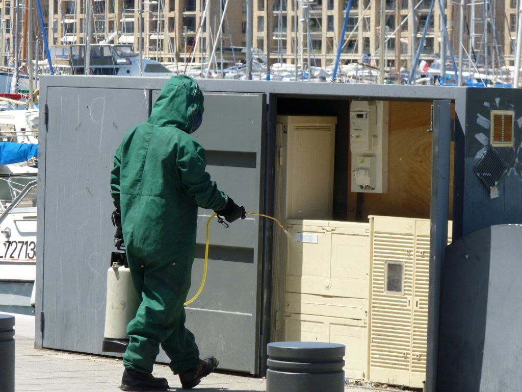 Des abeilles ont trouvé refuge dans une armoire électrique sur le Vieux-Port de Marseille (Photo P.M-C.)