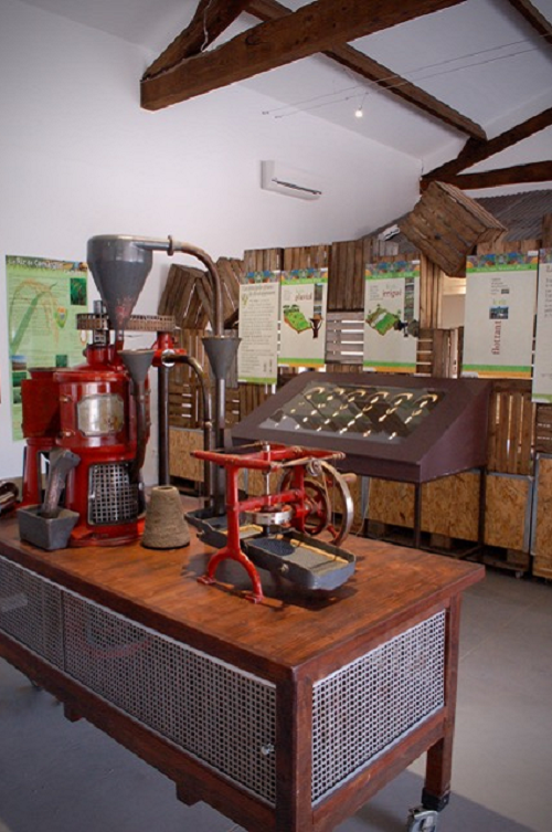 La Maison du riz vient d'être inaugurée à Albaron au cœur de la Camargue