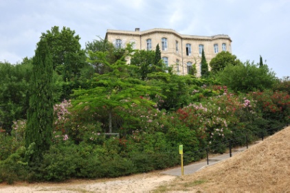 Vue du Château depuis le parc de la Moline (Photo D.R.)