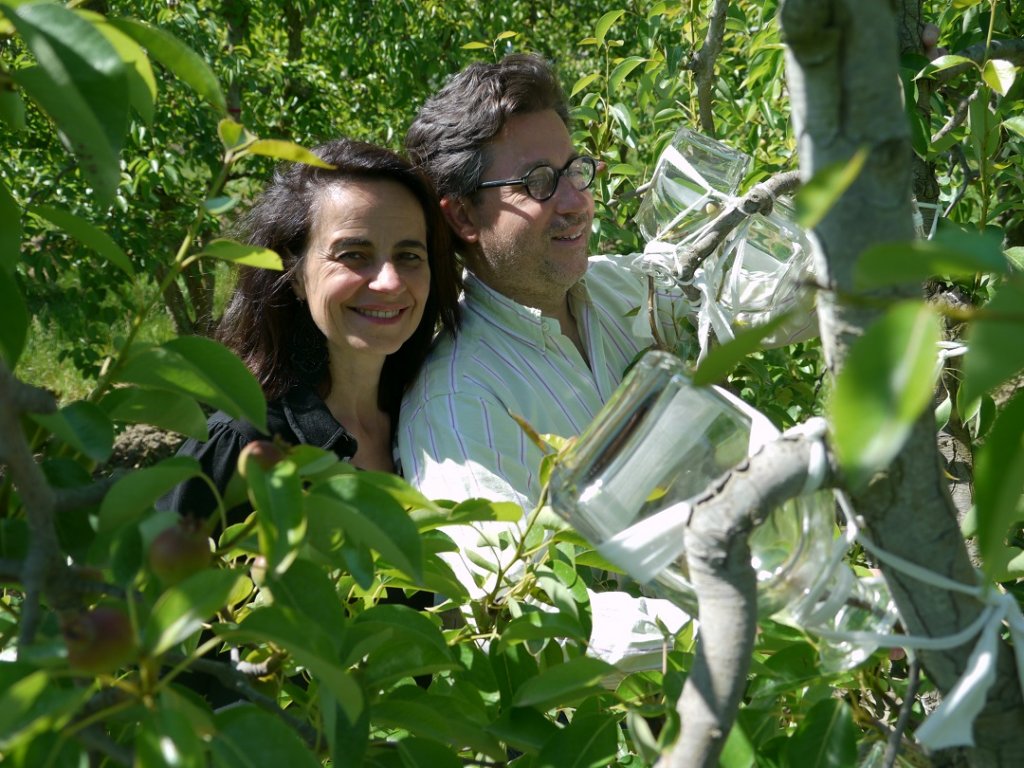 Tous les jours, Béatrice et Emmanuel Hanquiez vont dans les vergers pour vérifier si les poires prisonnières ne manquent de rien… (Photo M.E.)