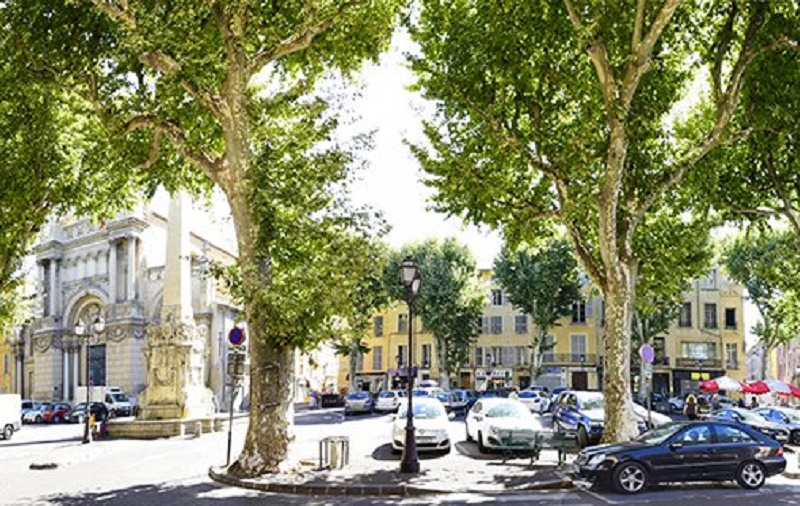 A l'occasion des travaux des 3 places (Verdun-Prêcheurs-Madeleine) 10 arbres sur 23 seront abattus (Photo aixenprovence.fr)