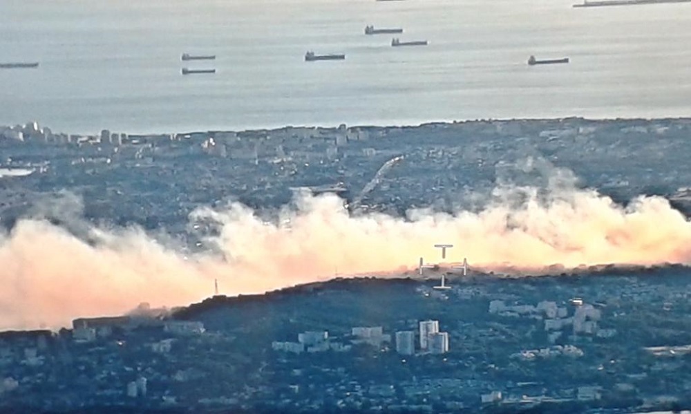 un feu de forêt s'est déclaré sur la commune de Martigues chemin de Barboussade(Photo SDIS 13)