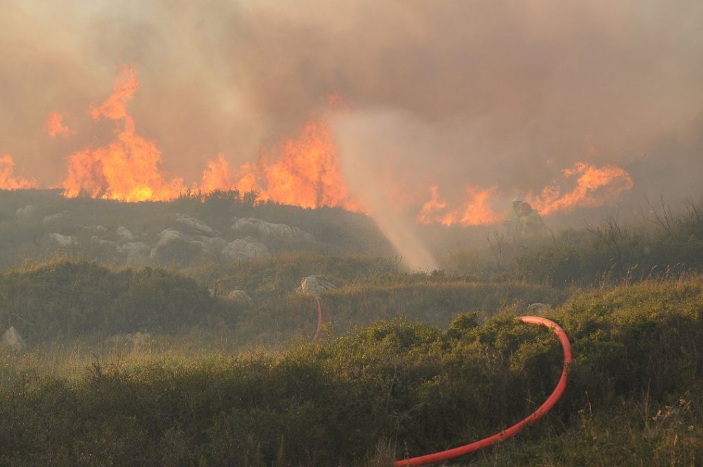 Incendie du massif de la Gineste le 5 septembre (Photo SDIS13)