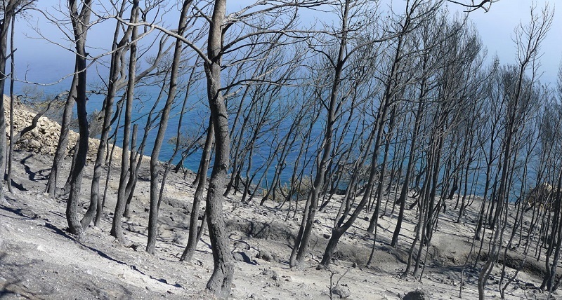 Ensuès-la-Redonne après l'incendie du 15 juillet 2016 (Photo E-l-R)