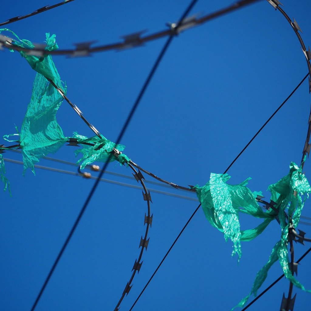 Les sacs plastique très fins, déjà bannis des caisses des commerces depuis juillet, le seront des rayons fruits et légumes (Photo Hagay Sobol)