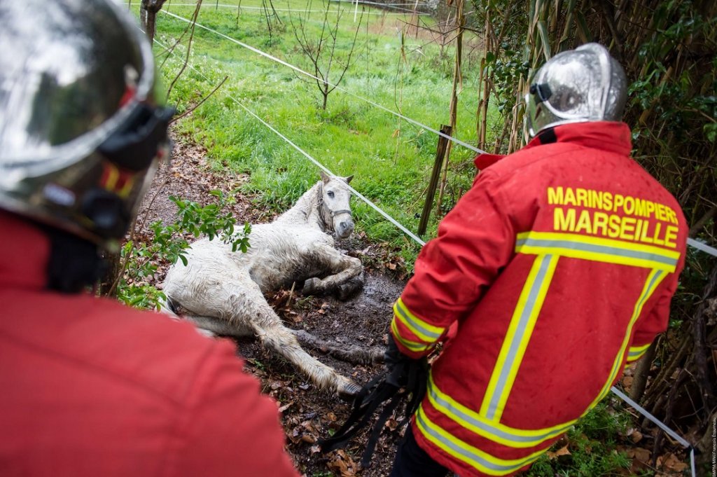 (Photo : BMPM / SM Etourneau)