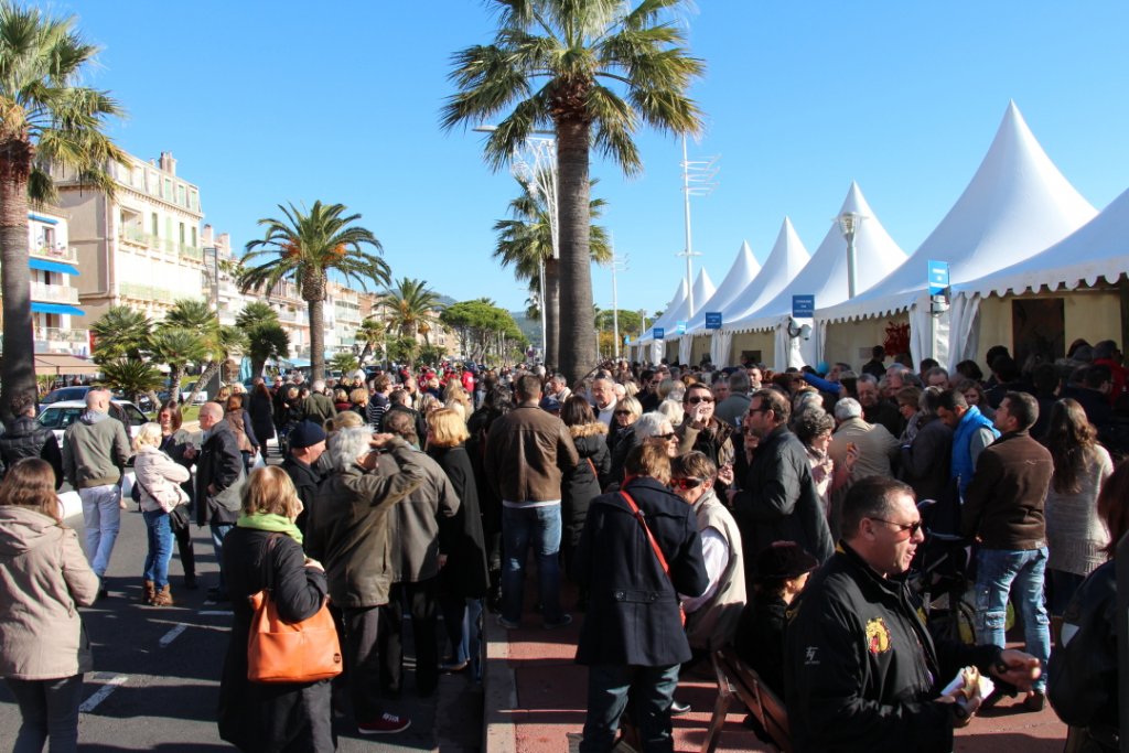 L'appellation Bandol fête son millésime (Photo archive Philippe Maillé)