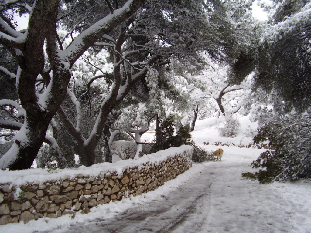 Alerte neige et verglas dans les Bouches-du-Rhône (Photo Philippe Maillé)