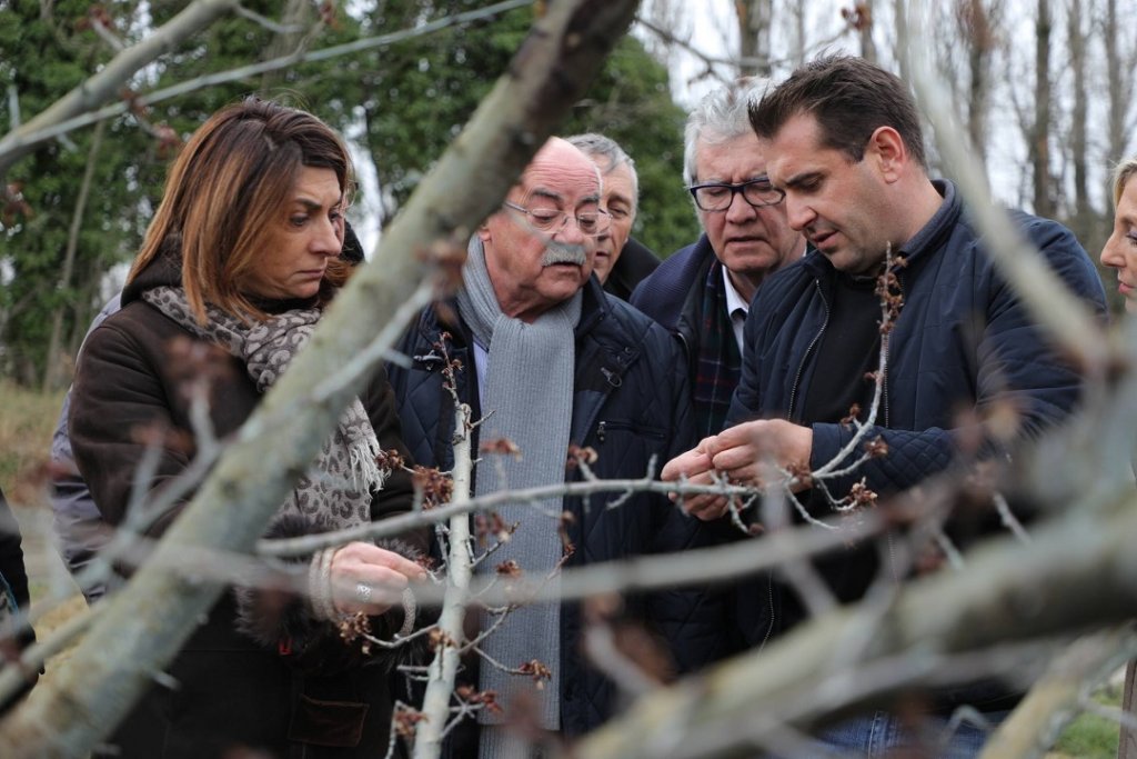 Martine Vassal à la rencontre des arboriculteurs sur la commune de Tarascon (CD13/Christian Rombi)