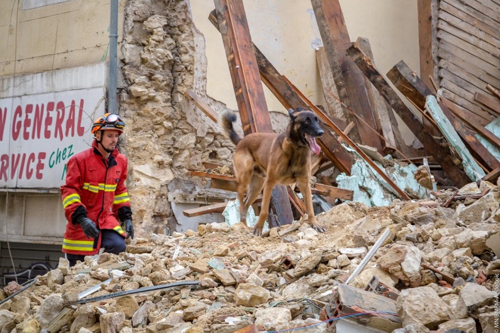 Les recherches soutenues par les chiens de la Brigade cynophile des marins-pompiers de Marseille (Photo BMPM/SM Aedo)