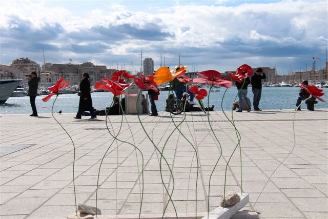 Sans arbres ni fleurs sur le Vieux-Port de Marseille des coquelicots pour rêver (Photo Philippe Maillé)