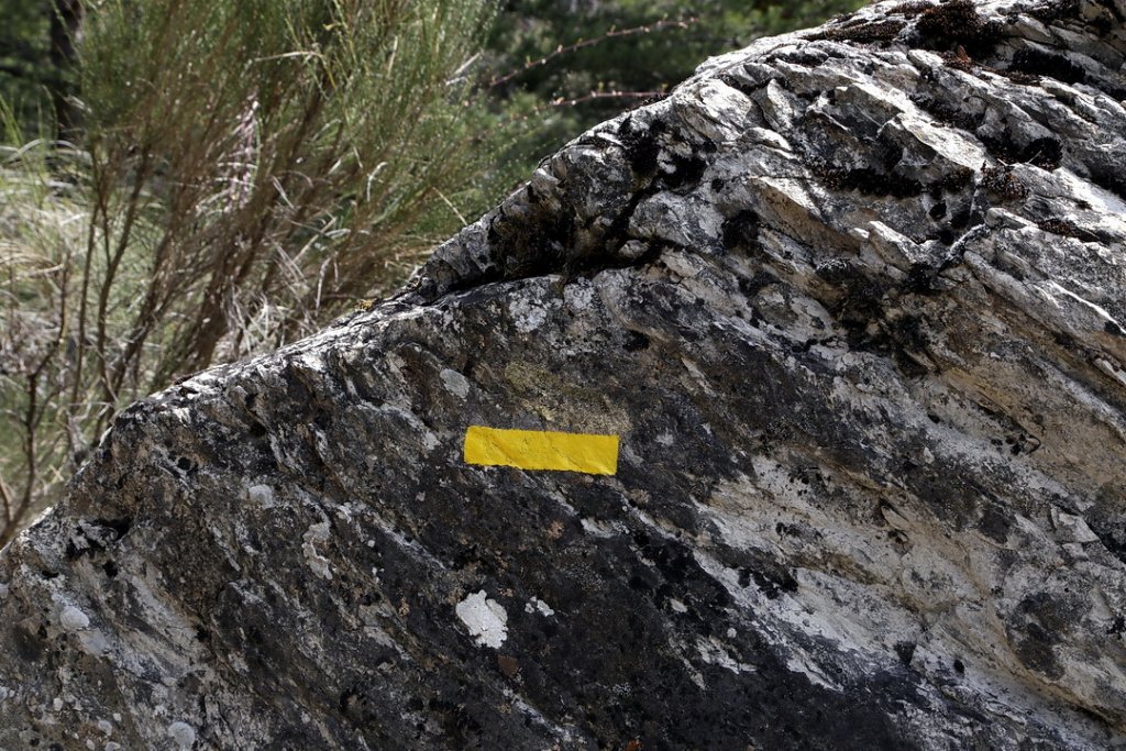 Les Gilets Jaunes à la Montagne ? (Photo Robert Poulain)