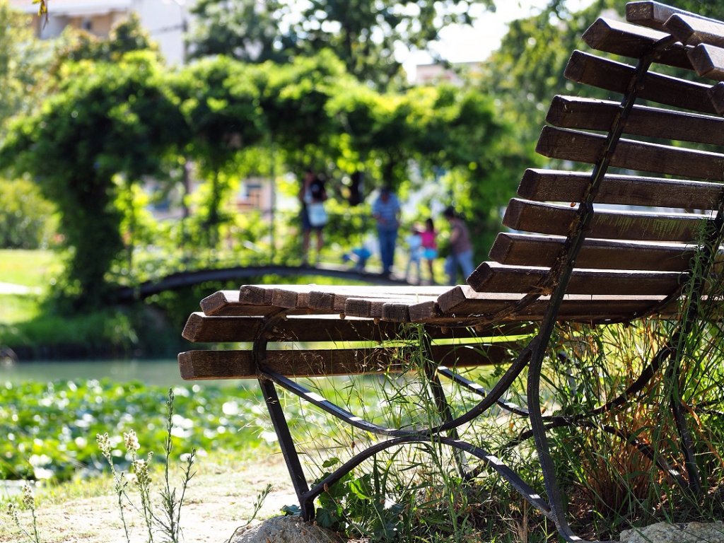 Un petit banc dans un parc pour prendre le frais (Photo Hagay Sobol)