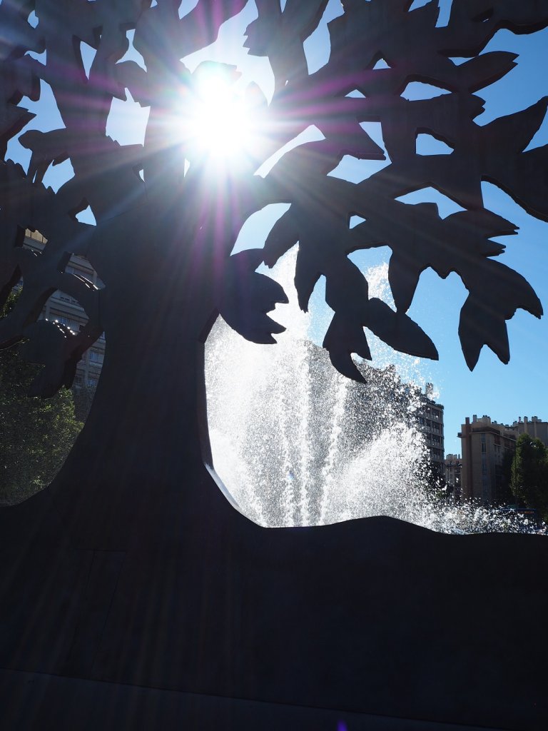 L'arbre de la Connaissance serait-il à Marseille ? (Photo Hagay Sobol)