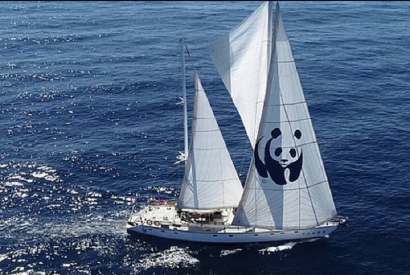 Le voilier Blue Panda © WWF France