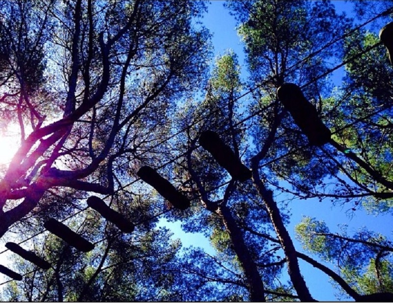 Pourquoi ne pas s'accrocher aux branches? (Photo Hagay Sobol)