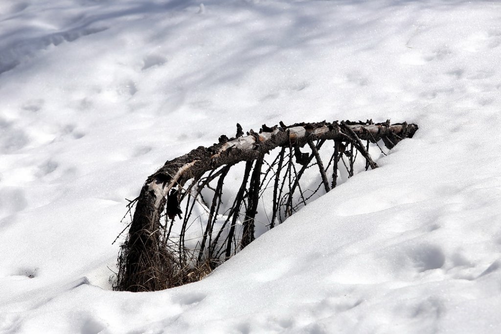 Il fait froid ? Non... (Photo Robert Poulain)