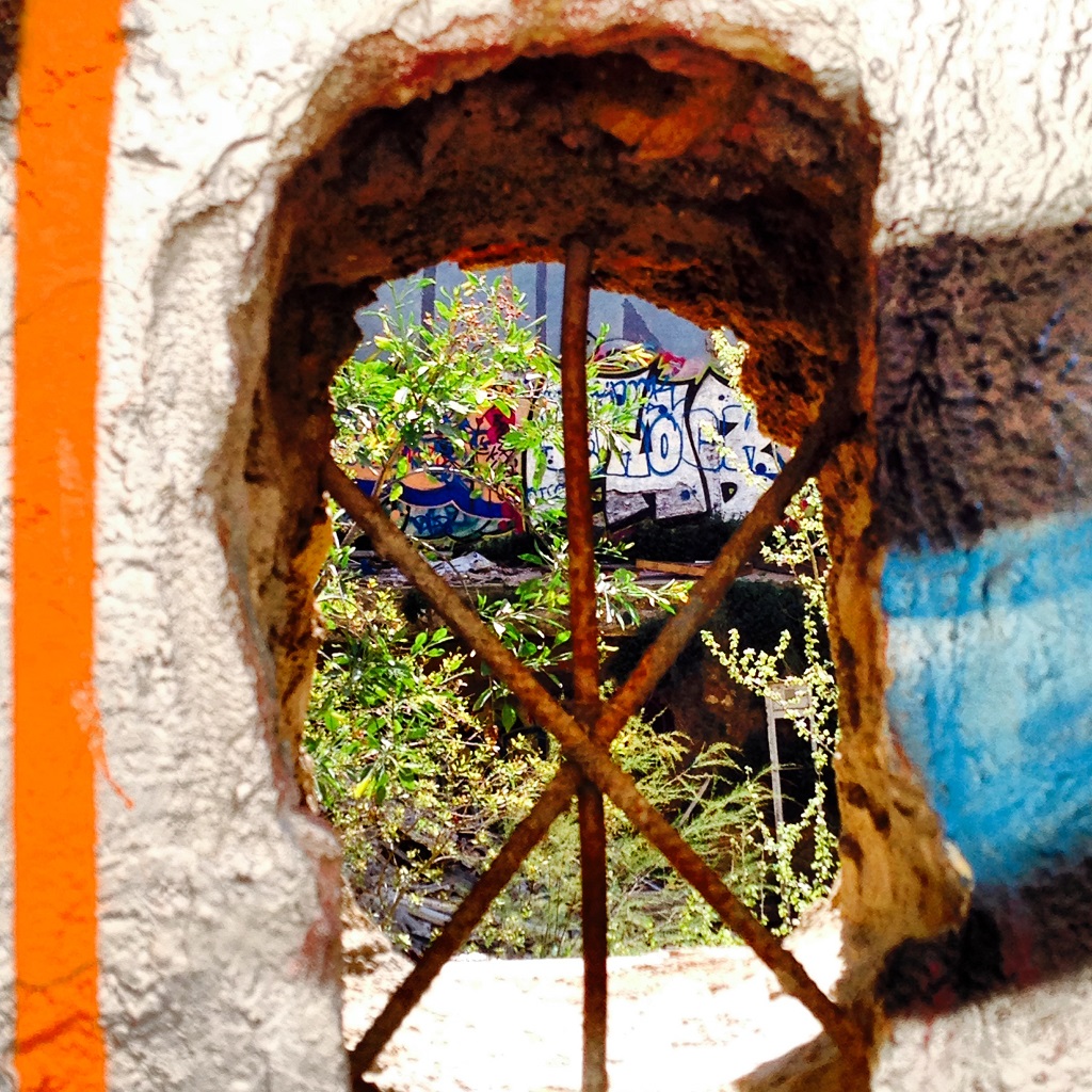 Regard sur l'extérieur d'un confiné au printemps (Photo Hagay Sobol)