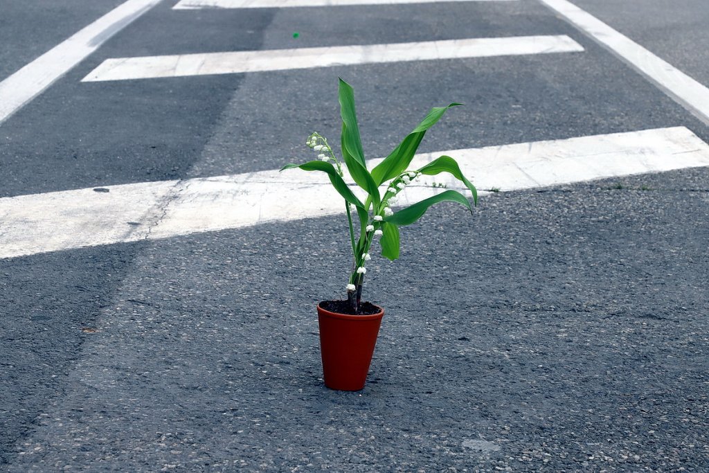 On peut même laisser son pot de muguet au milieu de la route (Photo Robert Poulain)