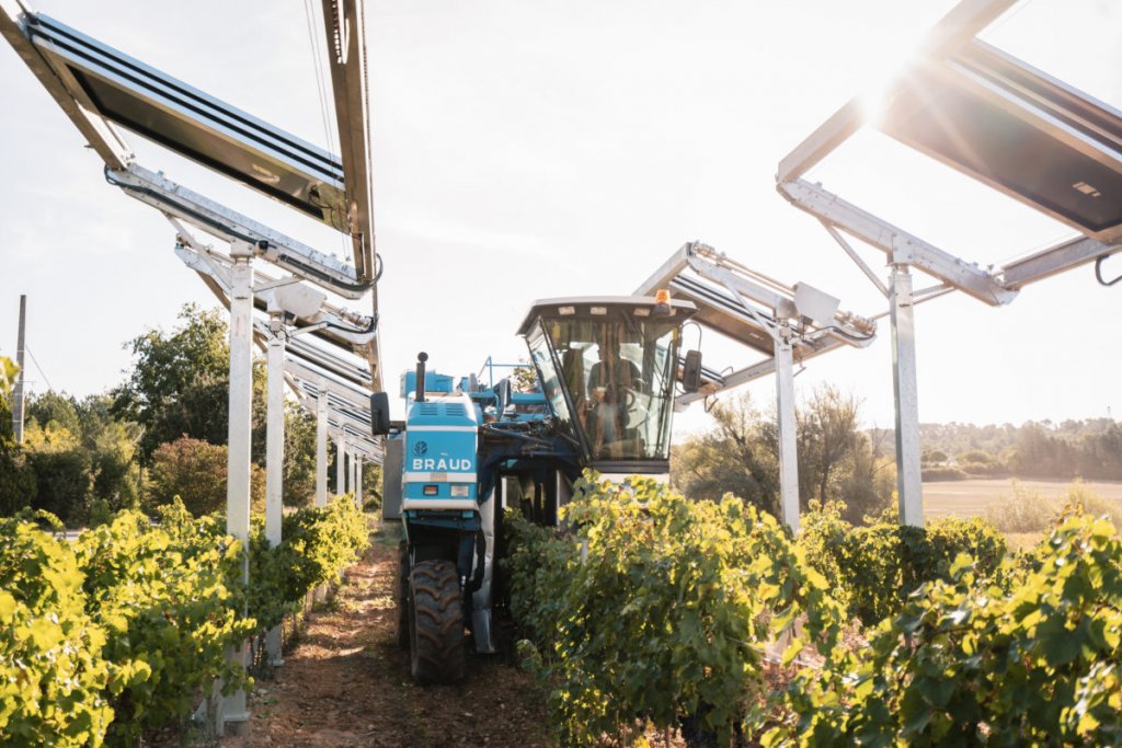 La nouvelle société combine la solution des ombrières développée par la start-up d’Aix-en-Provence Ombrea et l’expertise eau-énergie-agriculture connectée de la Société du Canal de Provence © Ombrea