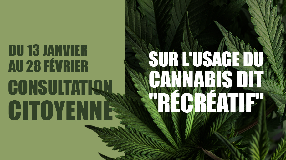 cannabis-recreatif-consultation-citoyenne.jpg