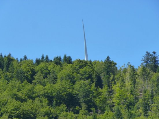 La forêt est en danger (Photo archives Destimed /Philippe Maillé)