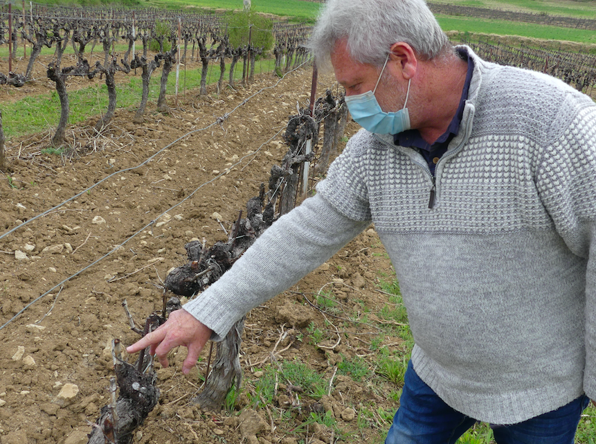 Frédéric Port, un viticulteur inquiet pour ses vignes ©AG