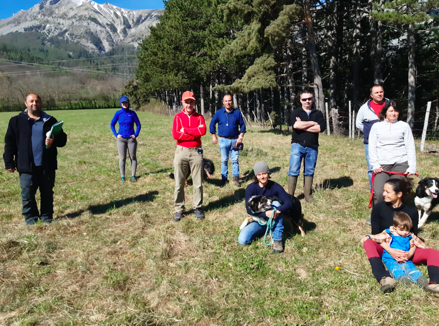 Durant cette formation les participants reçoivent les conseils de professionnels pour faire de leur chien un bon chien de troupeau. ©L'Espace Alpin