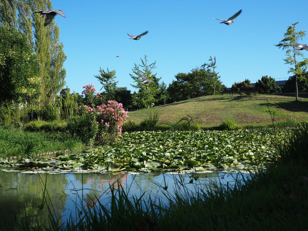 Préserver la biodiversité © Hagay Sobol