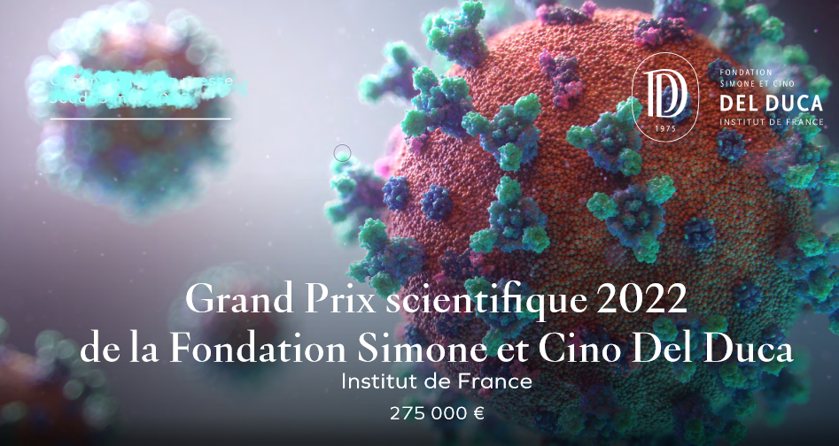 © Fondation Simone et Cino Del Duca