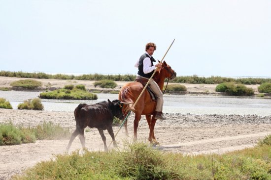 Une réhabilitation capitale pour l’élevage de taureaux et de chevaux (Photo Philippre Maillé)