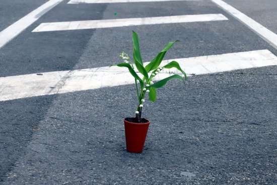 Vente de muguet sur la voie publique (Photo Destimed/RP)