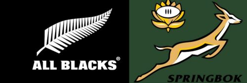 Destimed All Blacks springBox