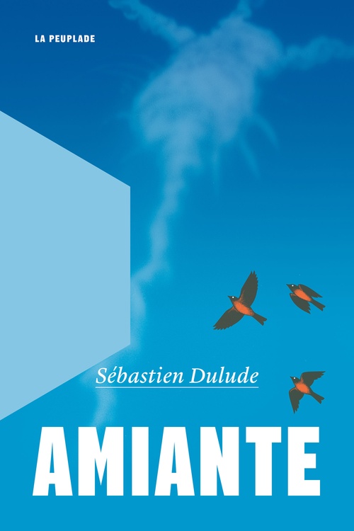 Destimed Amiante de Sebastien Dulude couv