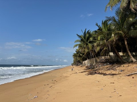 Destimed plage